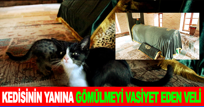 Kedisinin Yanına Gömülmeyi Vasiyet Eden Veli