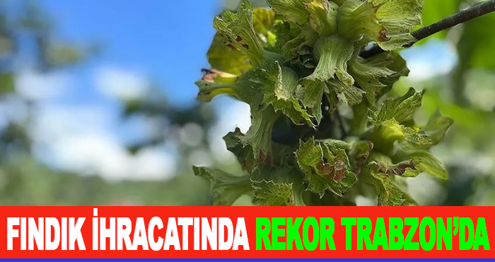 Fındık İhracatında Rekor Trabzon’da