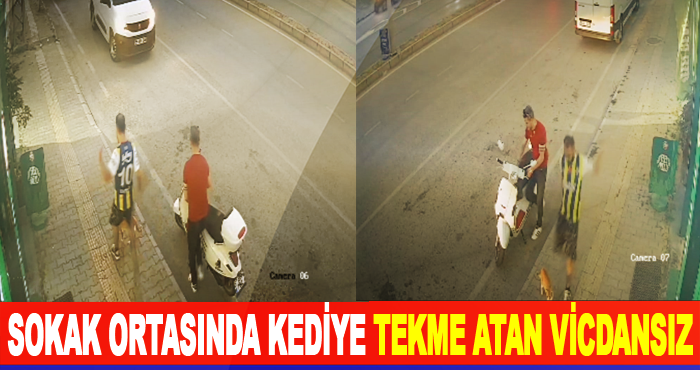 Sokak ortasında kediye tekme atan vicdansız